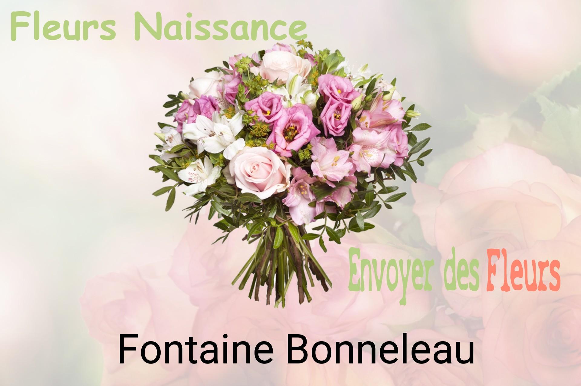 Bouquet de fleurs de naissance livré à Fontaine-Bonneleau